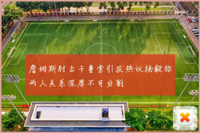 詹姆斯肘击卡鲁索引发热议杨毅称两人关系深厚不可分割